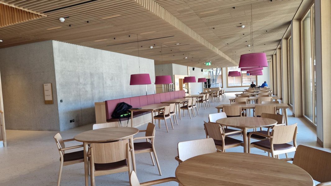 11 08.11.24 Vor IBN (28)